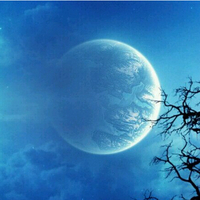 9a5266c0178e1e0971c7a0fb07904ddb5244c944