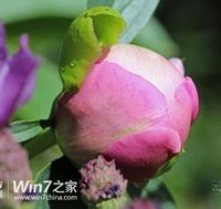 9d9fe7bf66b5e800df863412dae84e15c94de5f3