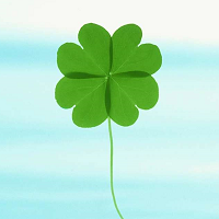 Fe44213851f7268efca8b680c8c080618d3d7ecc