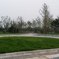 7f7afff8f9262cc274c909423790158e13fb916a