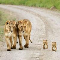 5a4a502463934c22f411a6ec9fdab4f5eb6d58aa