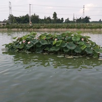 A3059605bbf2e88613b3700ef4e5e253ffabf9ce