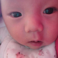 8e7898250fe370c74d168e3078917a6104b2a032