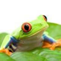 89bfb8f20503b52ac1984987631513126596c954