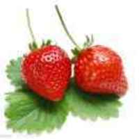 B77c8f6f407ae7d0ef431976106e82f199d8c486