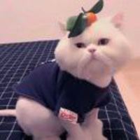 4f8607afcf0f0d8d587513de028b6b9422f3d6e5