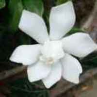 39c459bfec4205623189fa8367b5321d0602edb2