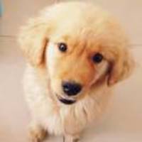 B5d60d9c412785283742f5bebb53f67cc0194046