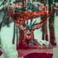 6b6d094645ebb6c873a09f90752c3fcfb50b3134