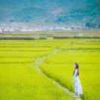 9253e7e2301267eb48542bd221ff76e1bd26baaf