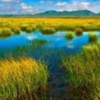 C5d08a9a9f9902246c2a998df851b5a6a96e7a2f