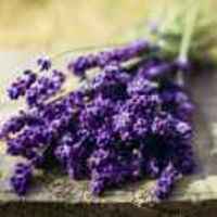 658666060b3eaac8cd585f8c372b36e6f24f39b8