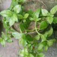 1864114361c23f4e702d879d96d7b525ec23139a