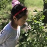 55c2121b84ba45653c04f4d90c39c17d3099937d