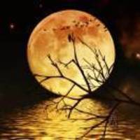 65fe624dfa66d97d9a3a197a29f4509e47396f33