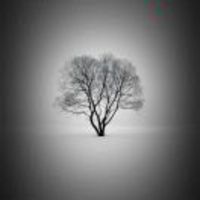 C495ca5a3a6de11158e9c23cc60e1a0eede0bb22