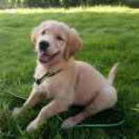 8b8d0c67a91c7484de31ede1f6c23c66f24d4d78