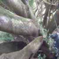 B3b1f7543e71bfcf478ad85d43c900773444a069