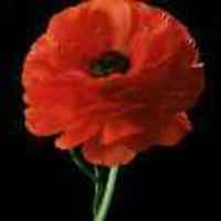 467267bb3a055326114bf90652c0f1c2ed945a32