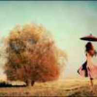 2ca77cf188fb1e452e4fdd4e24b6d1e620e43c98