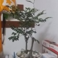 Ef0b88360a4e71725b309905bccd2bdf82e2a123