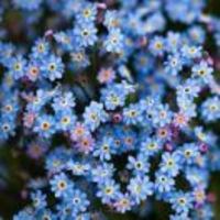 48e21d0031e0fbcc1289344e241f6cc0e3ff37de