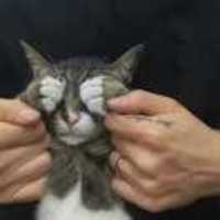 78653bcdc8fc10397ea923b5e616fbec8cf1985f