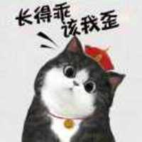 Ee9b524d82e72235377c4ffb686c3b6f54515109