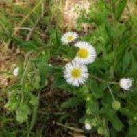 Fd4d92b1126a095dc738e776e2c39b8f598a4b23