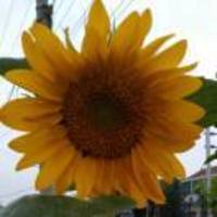 6ed271b9e81ff9c5cbb58dcbec53e68b5c6ac514