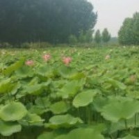 10a3c71793b1096b38ace3ade1063214937fe469