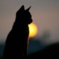 437410669d45283f71cf57ee3bd0c63179cfb5e7