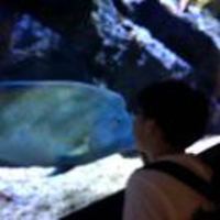 16637b6af4088ce6f7c6777567c14bc45de458ee