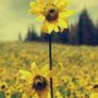 16648a92b010e3c422373667099778a30717276f