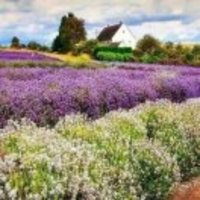 5068e6718b1a713121f0e111f2c3fd8b48b20e0d