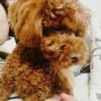 16bbc5a6e7b28bd7d936156f67b72f02f3168a09