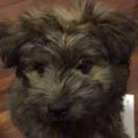 21a1cfd458ea814299638f4ad404185495634eb5