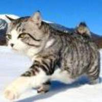 3dd57ab37eb578941530687c711debbbc8a9b96f