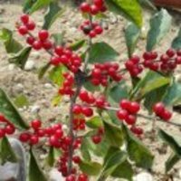 C626e79d718d688bc9ec0ecf5c3529e308f709e1