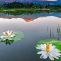 624ed1b6233d1740622ecc3a8e09a8499d616cbe