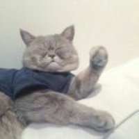 Dc07299f97fe96aaa229dcc73211a54079bff64a