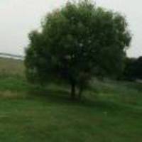 2040a797ec11babb777a3e3c11c84c042d984880