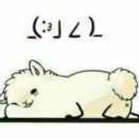 7959ce3ca49310c333aa16ff1ab2e706b878c8d4