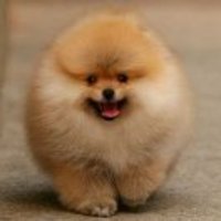 7c17ebf9af803d7450e41572ba8fb41d99be2495