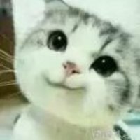 84b5735447ae439085d3be321af150b3a97beb4c