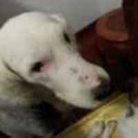 D4652036165513709f5b9ecb05510b88c1c6d950