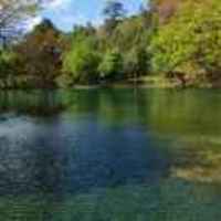 3f154fa7400730f48cdbf6940de19b72241a0107