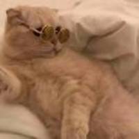 Ec836f85c8766e2def4bb4b7623c7478abfab88e