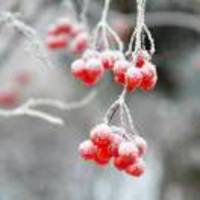 Fe92b048b0793dfddfbc6d1cc35840b85dc92334