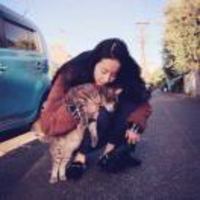 B20314623d478dfea0f1099eee63ddd2e25d523e